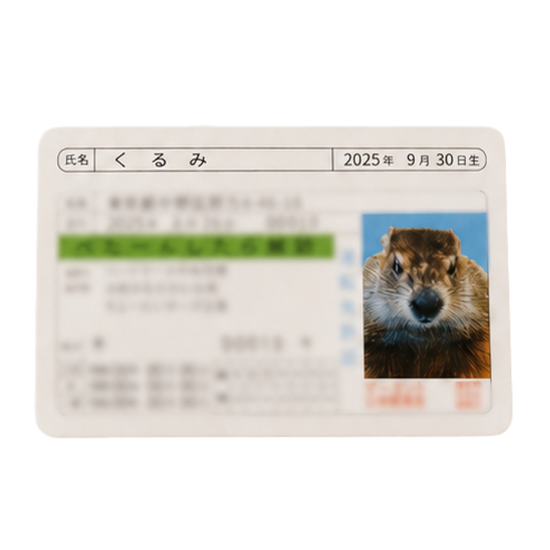 マモ村免許証 - 第2弾