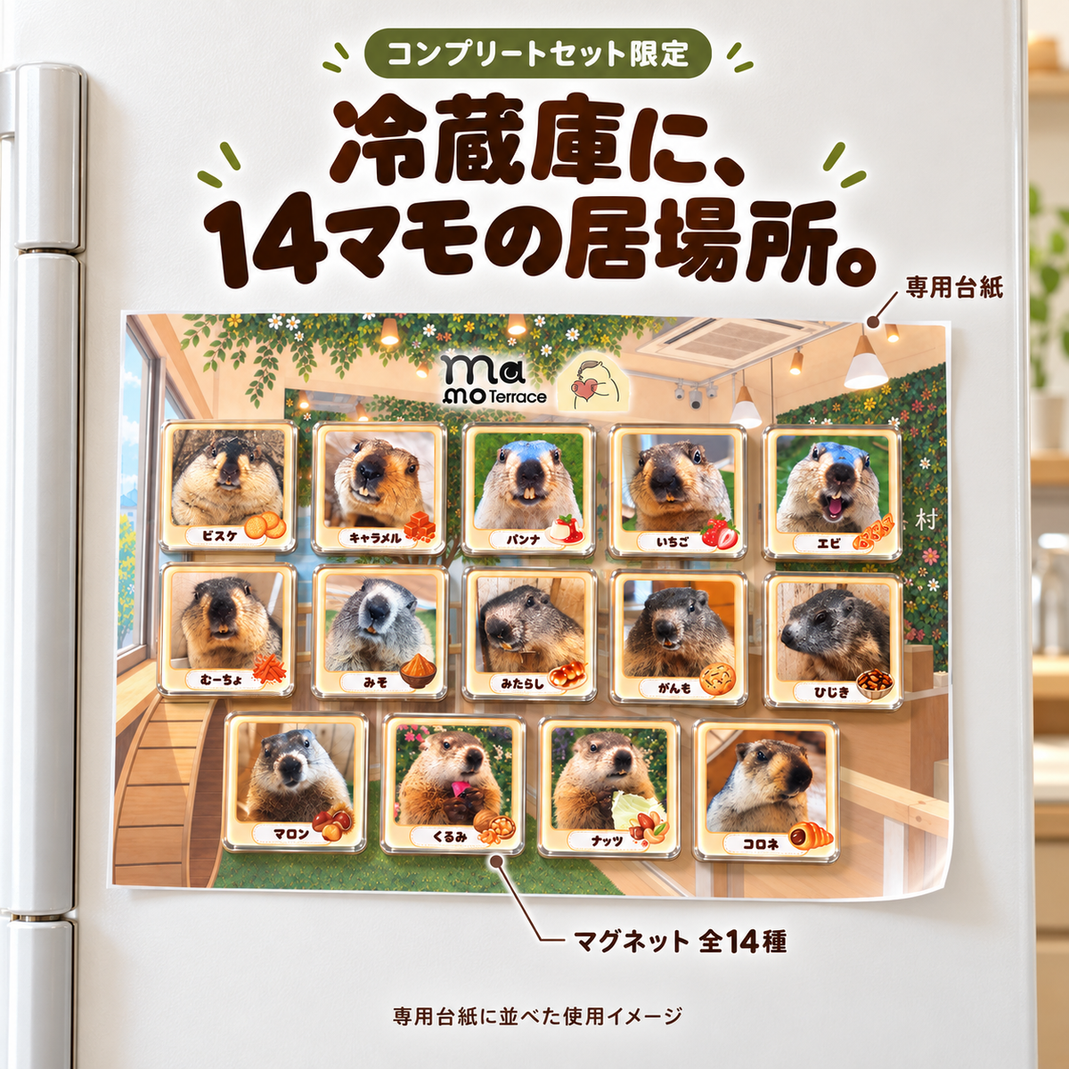 冷蔵庫に専用台紙を当て、全14種のマモマグネットを並べたコンプリートセットの使用イメージ