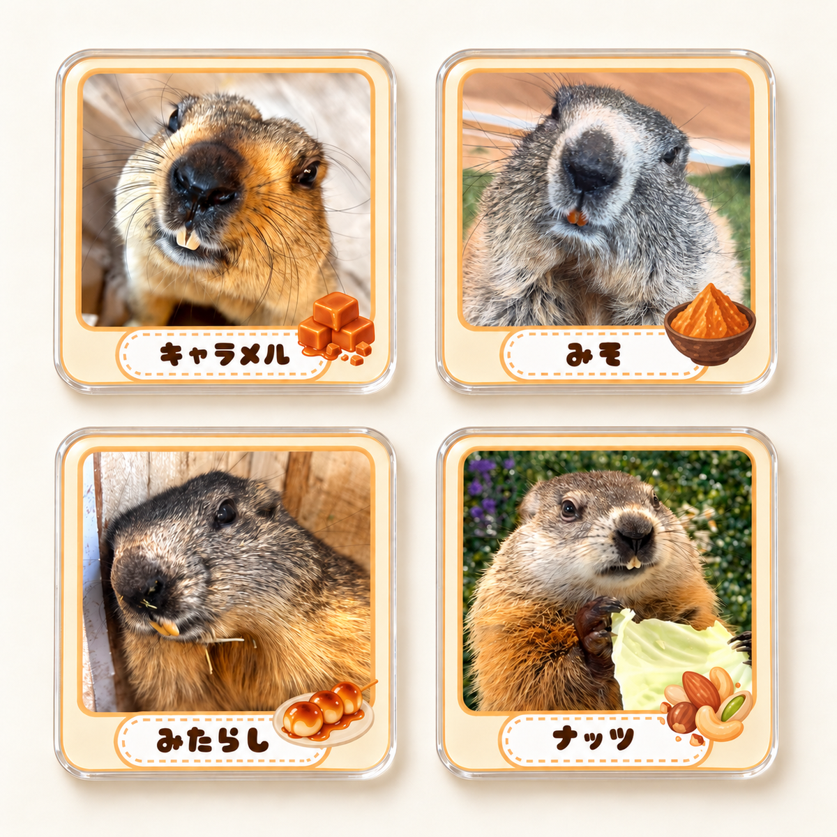 Bセット4マモ（キャラメル・みそ・みたらし・ナッツ）の商品イメージ