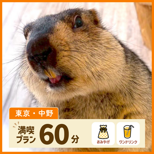 【東京・中野】満喫プラン 60分（ワンドリンク・お土産付き）