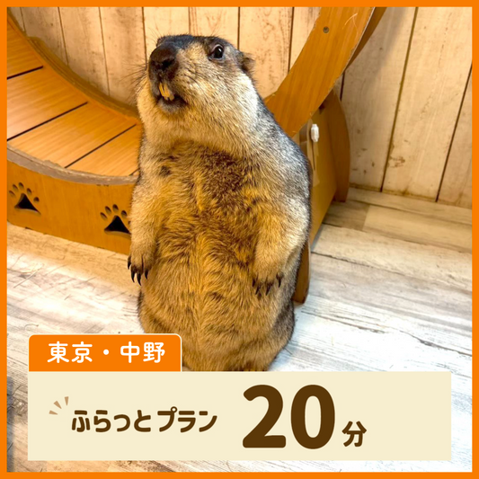 【東京・中野】ふらっとプラン 20分（ドリンク・お土産なし）