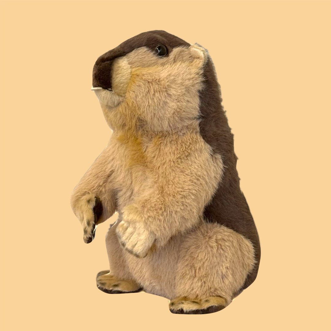 たたずみマーモットぬいぐるみ