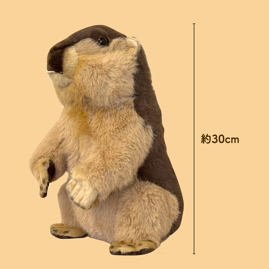 たたずみマーモットぬいぐるみ