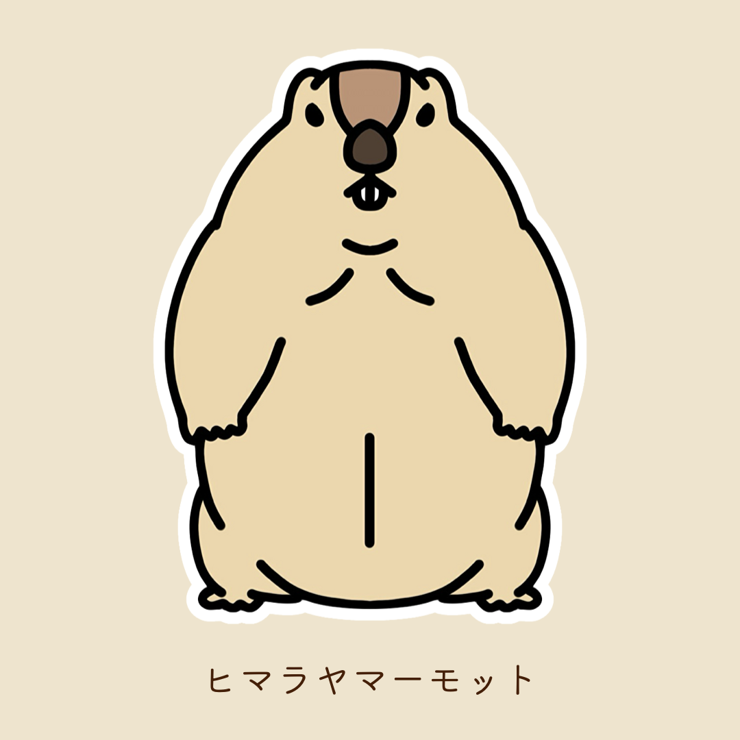 【2장 세트】마모 스티커