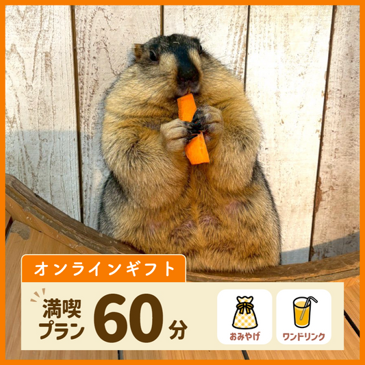 【オンラインギフト】満喫プラン60分（ワンドリンク・お土産付き）