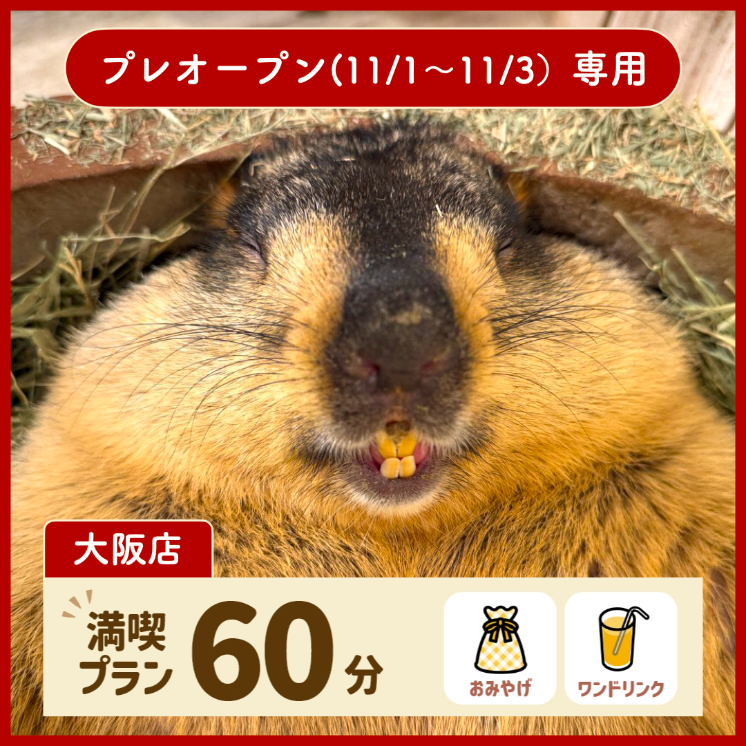 【大阪店】【プレオープン専用】満喫プラン 60分（ワンドリンク・お土産付き）【一般枠を増枠しました】