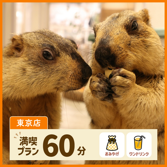 【東京店】満喫プラン 60分（ワンドリンク・お土産付き）