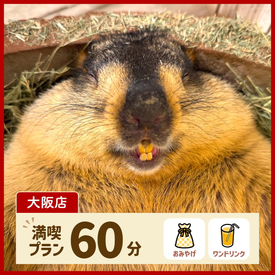 【大阪店】満喫プラン 60分（ワンドリンク・お土産付き）