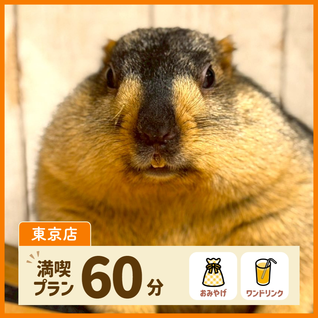 【東京】満喫プラン 60分（ワンドリンク・お土産付き）