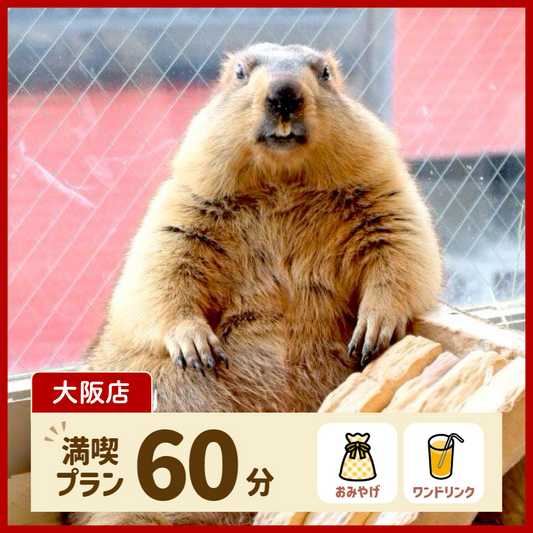 【大阪】満喫プラン 60分（ワンドリンク・お土産付き）