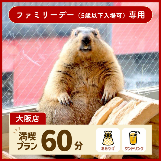 【大阪】【ファミリーデー専用】満喫プラン 60分（ワンドリンク・お土産付き）