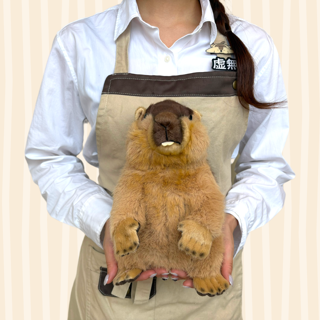 【预订商品】站立姿势马尔莫特毛绒玩具