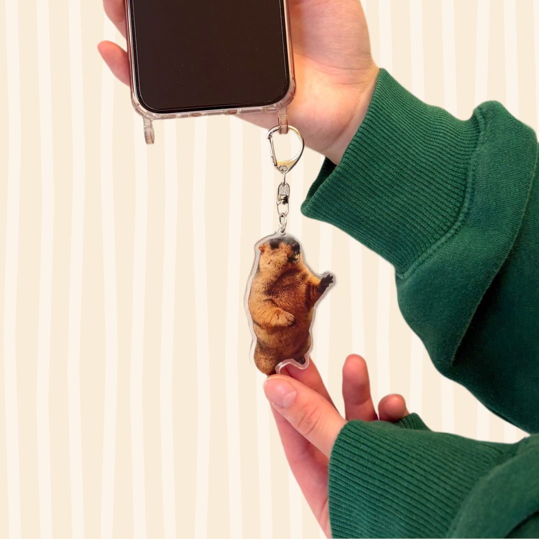 【2개 세트】마모트 아크릴 키홀더