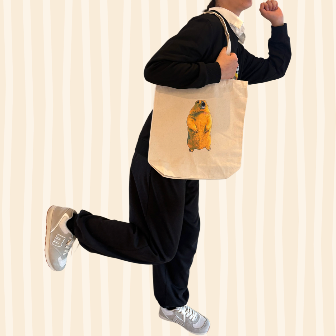 虚无马莫手提包