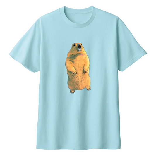 シンプル虚無マーモットTシャツ