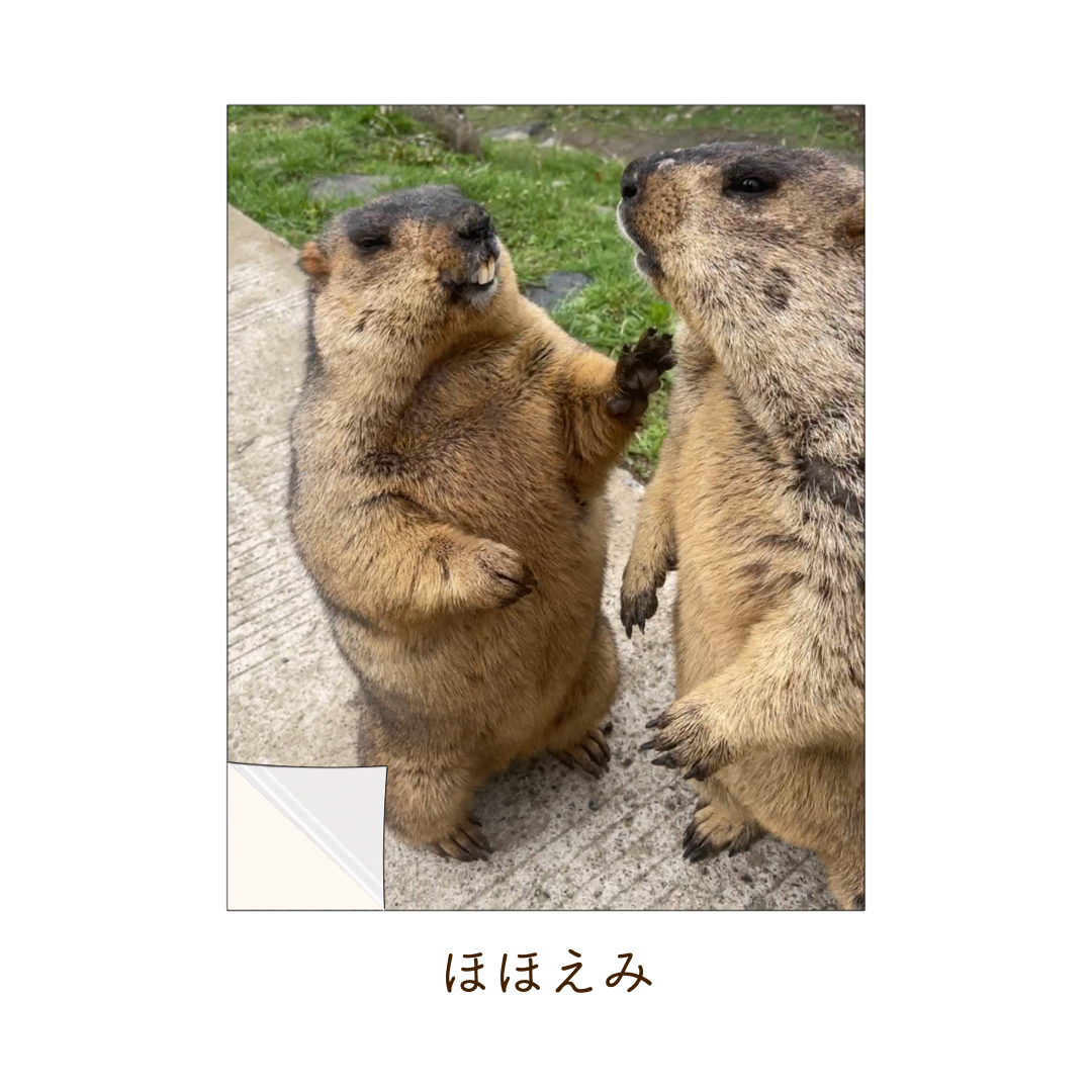 【2枚セット】マモステッカー